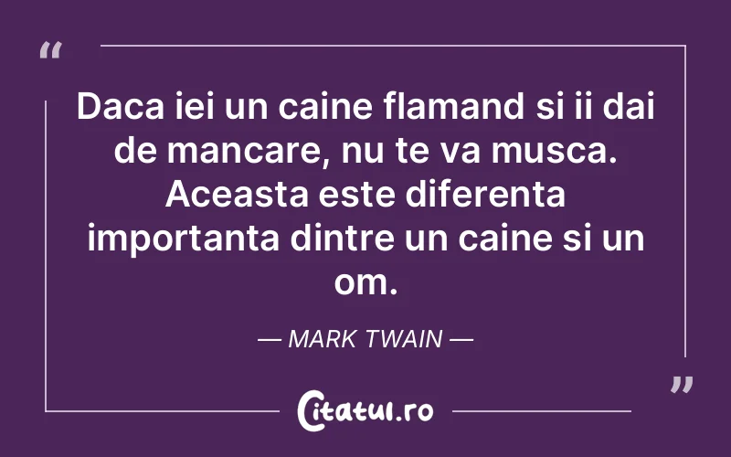 Citat Mark Twain - citate prietenie