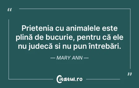 Prietenia pare a fi doar unirea a două ...