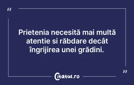 Prietenia reprezintă singura legătură...