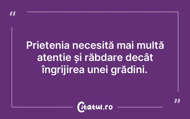 Citat Autor necunoscut - citate prietenie