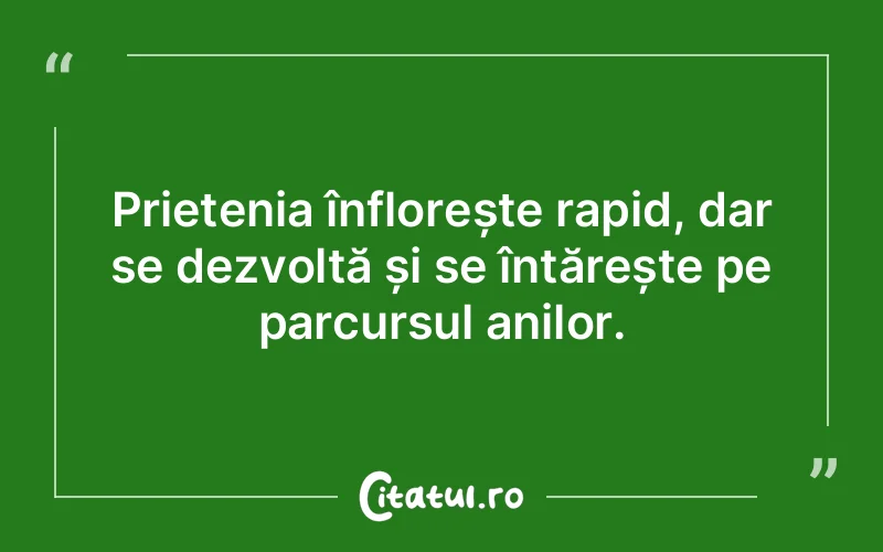 Citat Autor necunoscut - citate prietenie