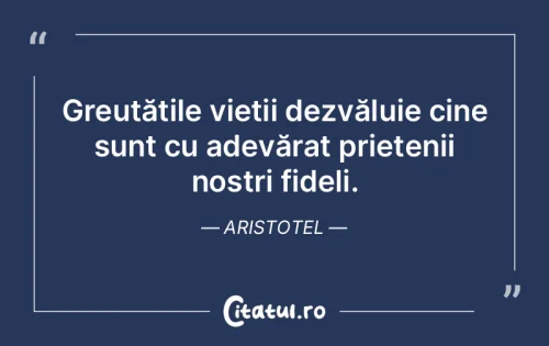 Citat Prietenie - Citatul.ro
