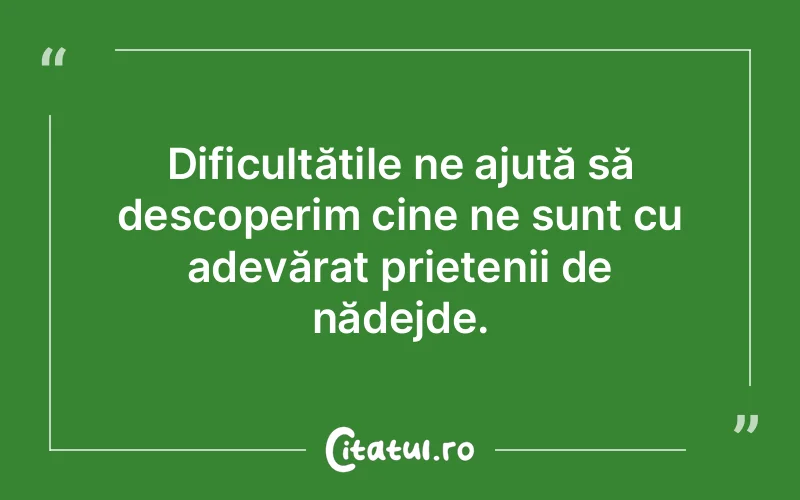 Citat Autor necunoscut - citate prietenie