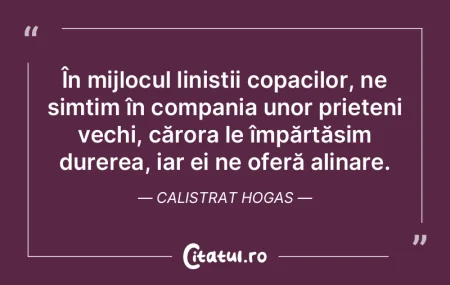 Chiar și cea mai frumoasă prietenie po...
