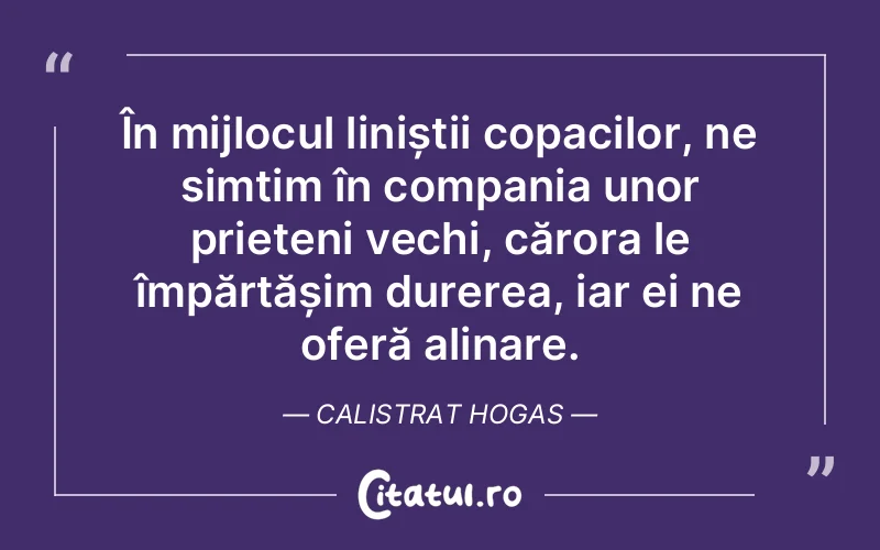 Citat Calistrat Hogas - citate prietenie