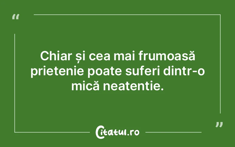 Citat Autor necunoscut - citate prietenie