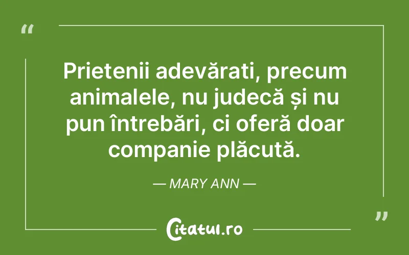 Citat Mary Ann - citate prietenie