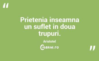 Prietenia inseamna un suflet in doua trupuri. Aristotel...
