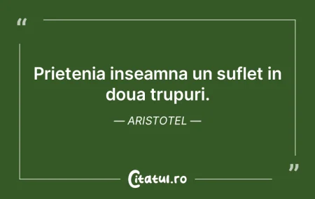 Prietenia inseamna un suflet in doua tru...