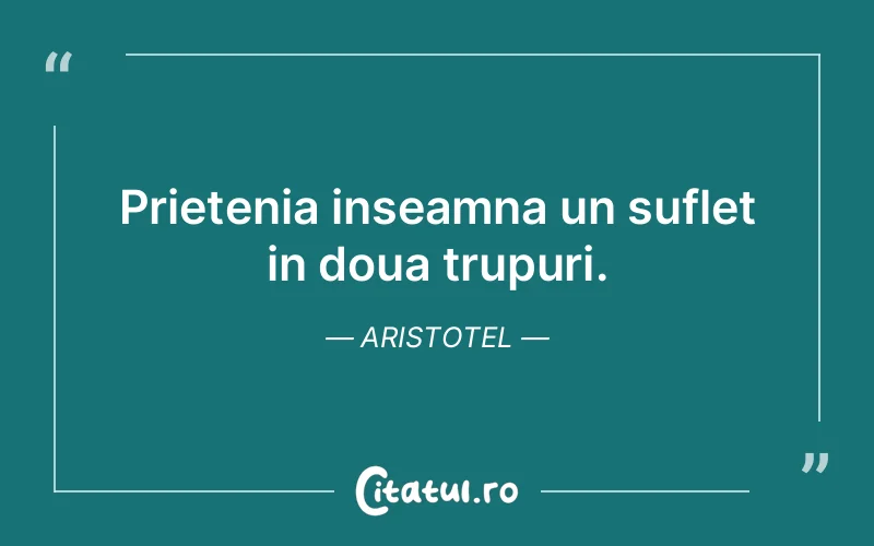 Citat Aristotel - citate prietenie