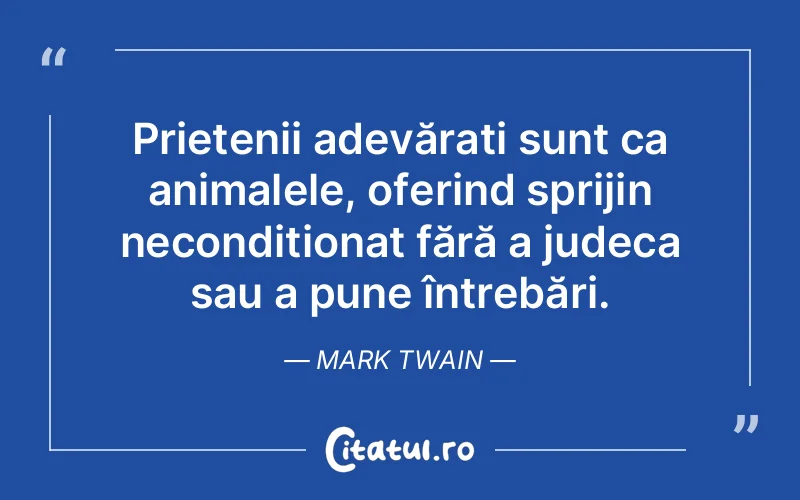 Citat Mark Twain - citate prietenie