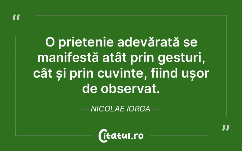 Citat Nicolae Iorga - citate prietenie