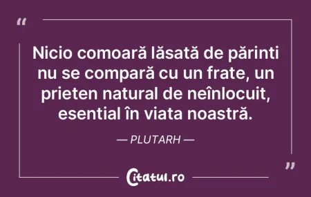 Prietenii merită să fie întâmpinați...