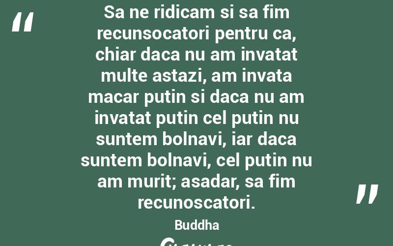 Sa ne ridicam si sa fim recunsocatori pentru ca, chiar daca nu am invatat multe astazi, am invata macar putin si daca nu am invatat putin cel putin nu suntem bolnavi, iar daca suntem bolnavi, cel putin nu am murit; asadar, sa fim recunoscatori. Buddha