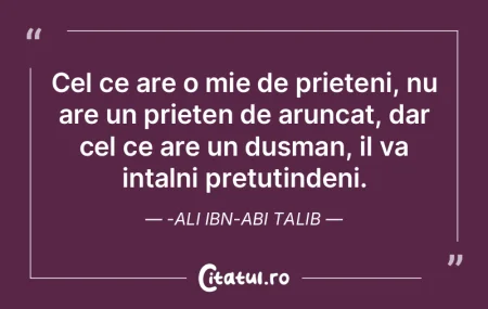 Cel ce are o mie de prieteni, nu are un ...