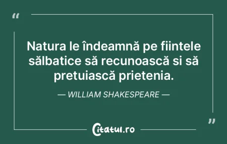 Prietenia autentică nu se negociază ș...