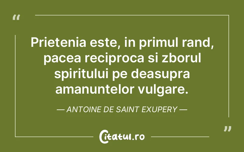 Citat Autor necunoscut - citate prietenie