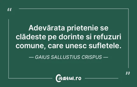 Bunătatea, prietenia și aprecierea pot...