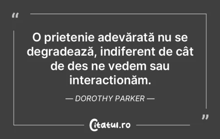 Pisica poate deveni un companion deosebi...