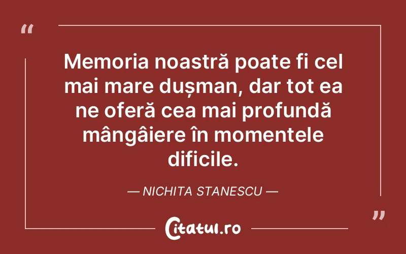 Citat Nichita Stanescu - citate prietenie