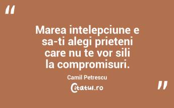 Marea intelepciune e sa-ti alegi prieteni care nu te vor sili la compromisuri. Camil Petrescu...