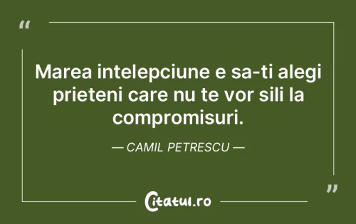 Citat Prietenie - Citatul.ro