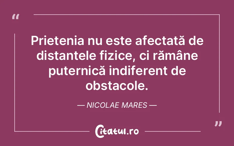 Citat Nicolae Mares - citate prietenie