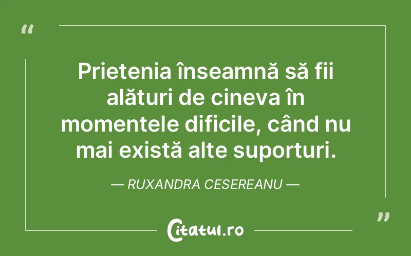 Citat Ruxandra Cesereanu - citate prietenie