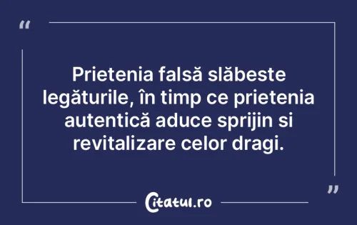 Citat Prietenie - Citatul.ro