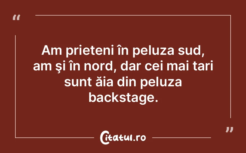 Citat Autor necunoscut - citate prietenie