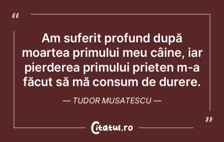 Pentru a-ți pierde prietenii, nu ezita ...