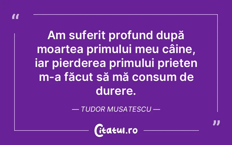 Citat Tudor Musatescu - citate prietenie