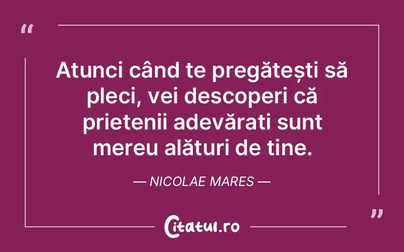Citat Nicolae Mares - citate prietenie