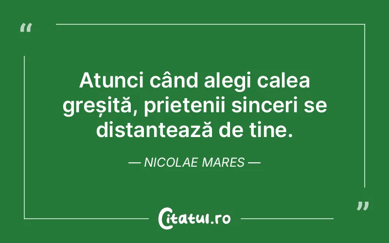 Citat Nicolae Mares - citate prietenie