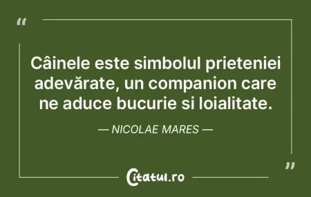Prietenia adevărată își găsește se...