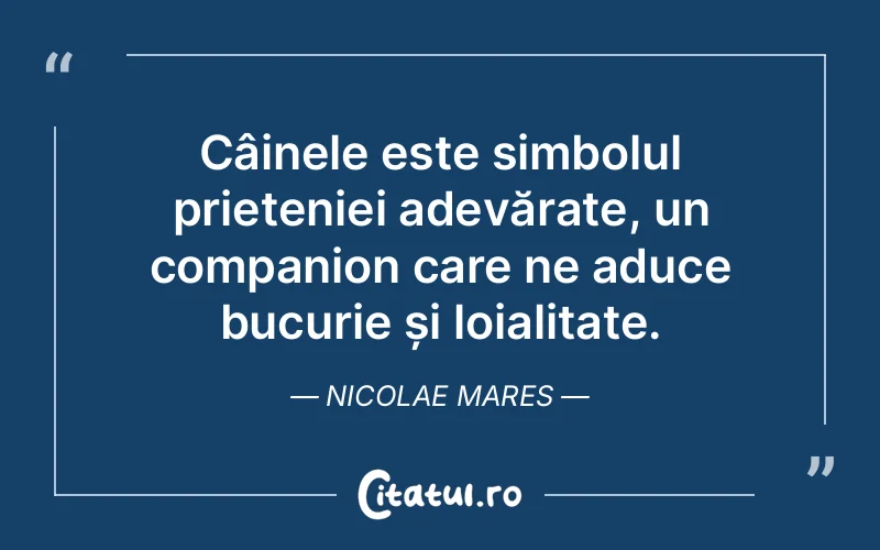Citat Nicolae Mares - citate prietenie