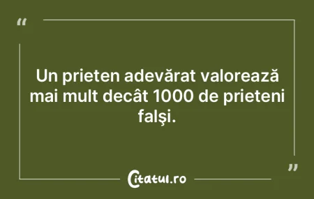 Imediat după dobândirea prietenilor bu...