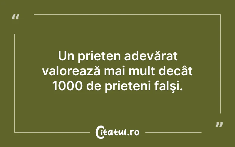 Citat Autor necunoscut - citate prietenie