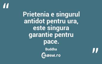 Prietenia e singurul antidot pentru ura, este singura garantie pentru pace. Buddha...