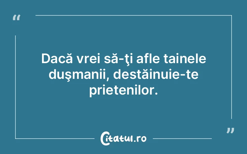 Citat Autor necunoscut - citate prietenie