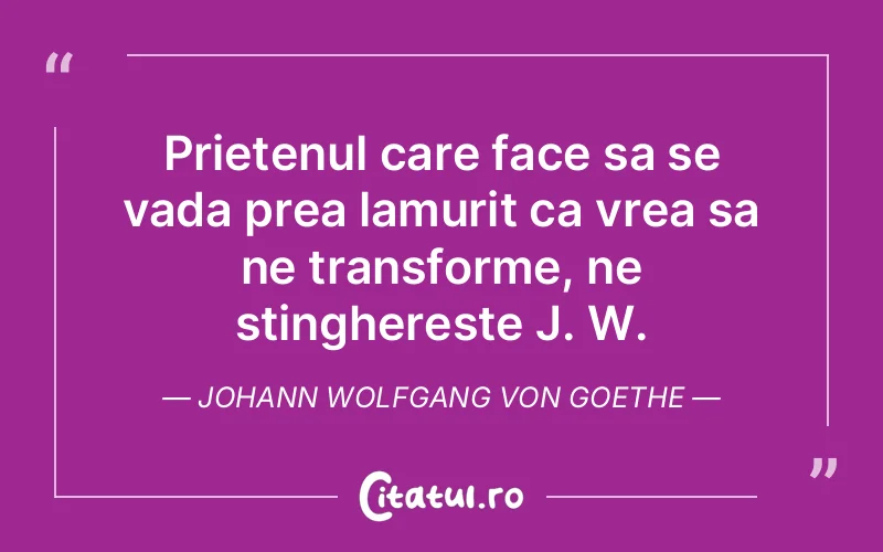 Citat Autor necunoscut - citate prietenie