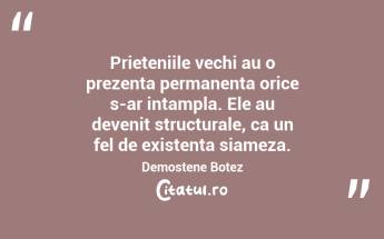 Prieteniile vechi au o prezenta permanenta orice s-ar intampla. Ele au devenit structurale, ca un fel de existenta siameza. Demostene Botez...