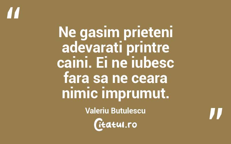 Ne gasim prieteni adevarati printre caini. Ei ne iubesc fara sa ne ceara nimic imprumut. Valeriu Butulescu