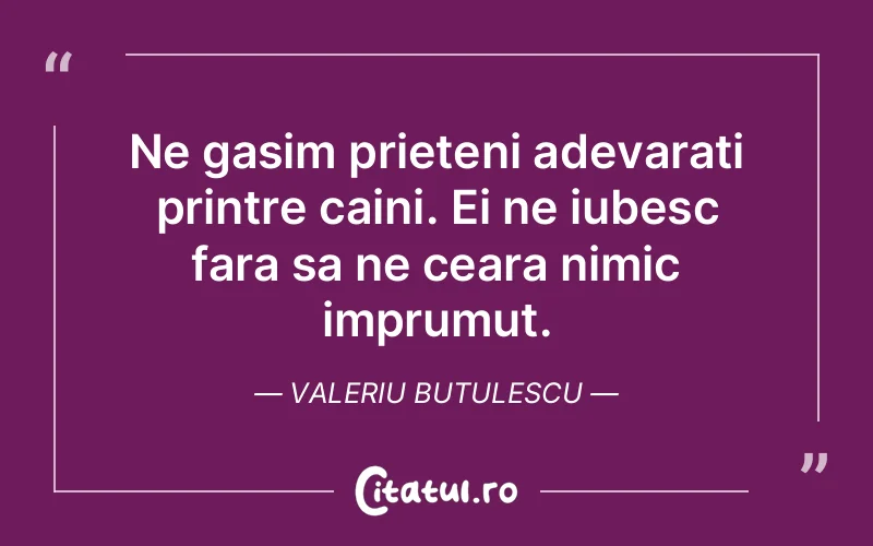 Citat Valeriu Butulescu - citate prietenie