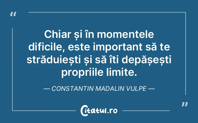 Citat Constantin Madalin Vulpe - citate prietenie
