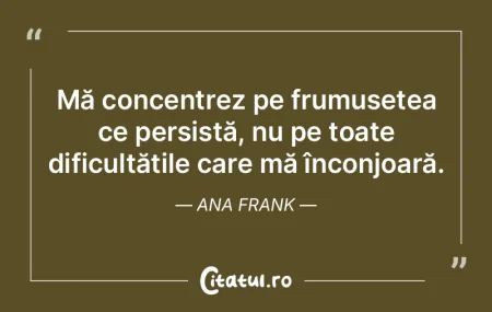 Mă concentrez pe frumusețea ce persist...