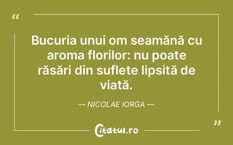 Citat Nicolae Iorga - citate prietenie