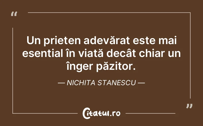 Citat Nichita Stanescu - citate prietenie