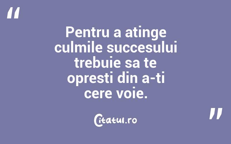 Pentru a atinge culmile succesului trebuie sa te opresti din a-ti cere voie.  