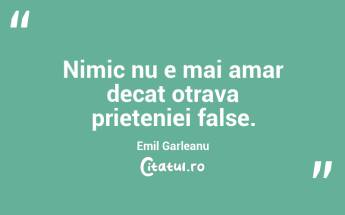Nimic nu e mai amar decat otrava prieteniei false. Emil Garleanu...